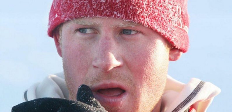 Prince Harry had ‘bespoke c**k cushion’ to avoid getting frostbitten penis again