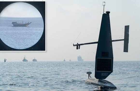 Robo-ship fleet to be unleashed to hunt Iranian missile and drug gangs