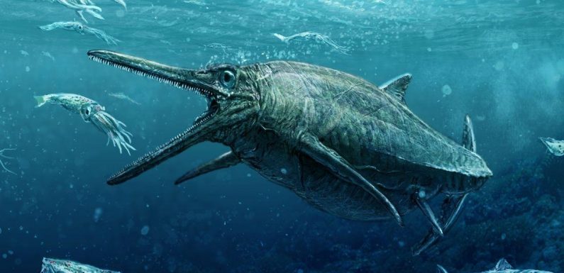Super-predator with massive jaw that dwarfs the megalodon was biggest beast ever