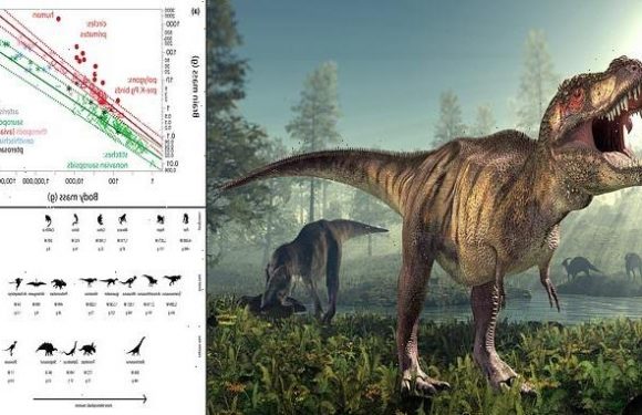 T.Rex may have been capable of problem-solving, study claims