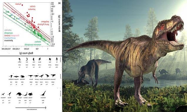 T.Rex may have been capable of problem-solving, study claims