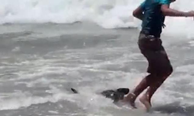 Terrifying moment seal attacks tourists at South African beach