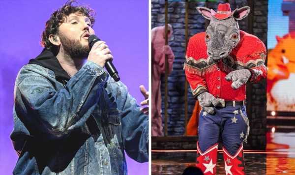 The Masked Singer fans ‘work out’ Rhino’s identity