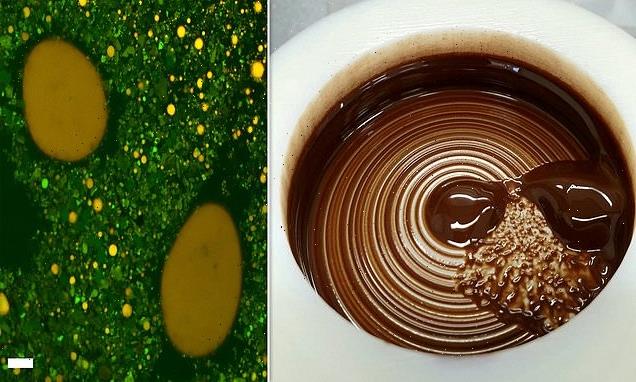 The secret formula that makes chocolate MELT in your mouth