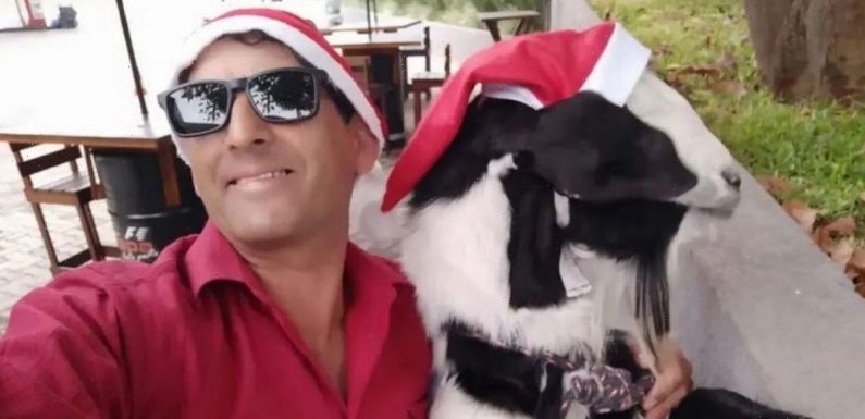 Thief steals goat dressed as Santa and trying to flog to owner’s brother