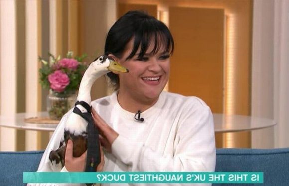 This Morning ‘scraping the bottom of the barrel’ with duck interview