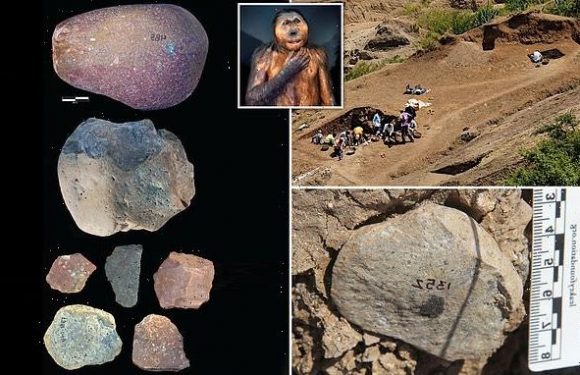 Early hominins may have used tools 300,000 years before humans