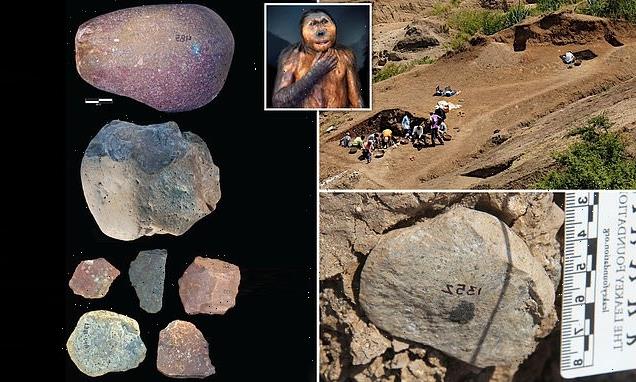 Early hominins may have used tools 300,000 years before humans