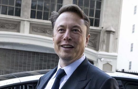 Elon Musk rumored to be working on an 'anti-woke' ChatGPT rival