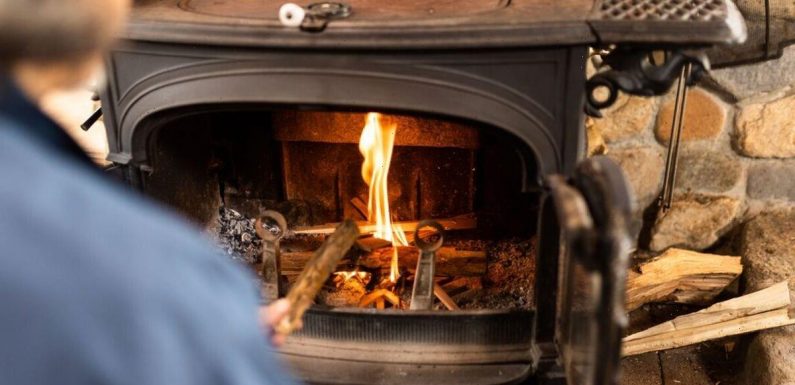 Fury as Britons face £300 ‘on the spot’ fine for log burners