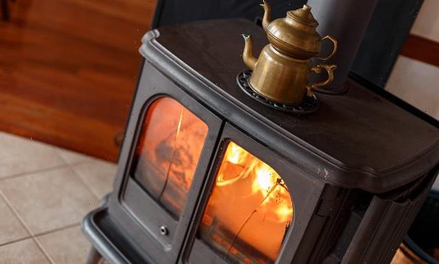 Given the chop! Wood burners effectively banned in London homes
