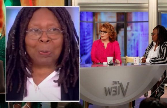 Goldberg pretends to cry amid Joy Behar revelation