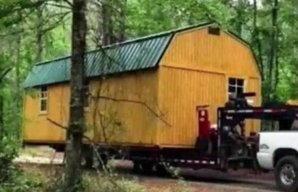 I converted a shed into a tiny home & have been living there for 11 years – people obsess over my greenhouse bathroom | The Sun