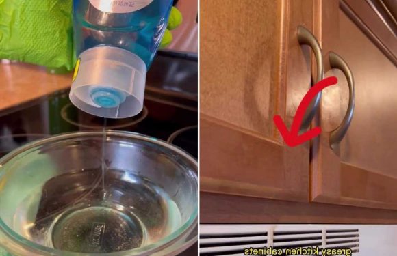I’m a cleaning whizz and my 80p method is perfect for getting rid of hidden grease build-up on your kitchen cabinets | The Sun