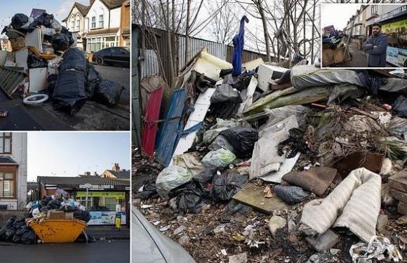 Is this Britain's dirtiest street? Rats scurry 7ft mound of rubbish
