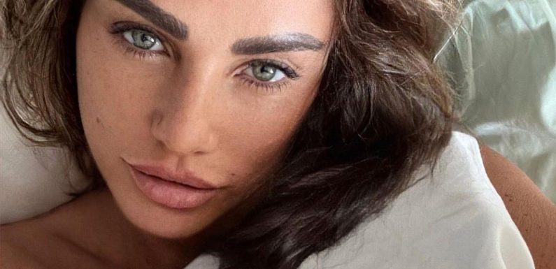 Katie Price goes topless for intimate bed snap as fans call her ridiculously hot