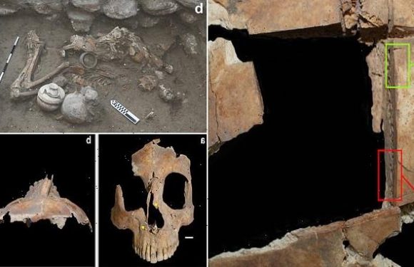 Man had HOLE drilled in his head 3,500 years ago, bones show