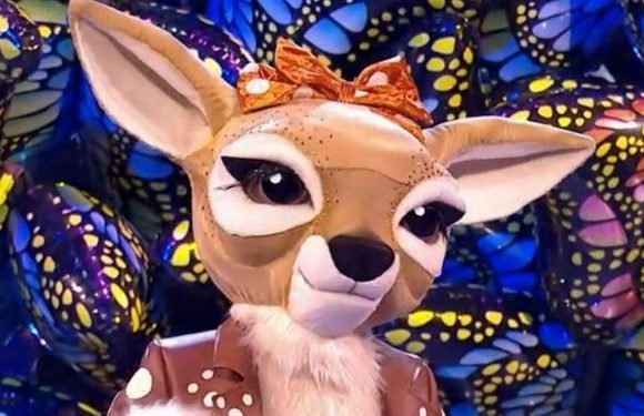 Masked Singer’s Fawn unmasked as Natalie Appleton as singer comes third in final