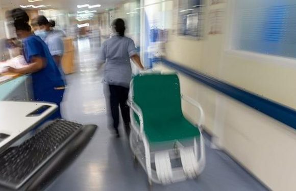 NHS waiting lists will not fall until the summer of 2024