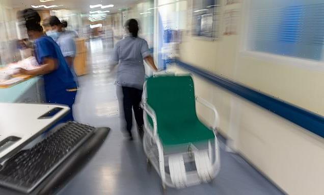 NHS waiting lists will not fall until the summer of 2024