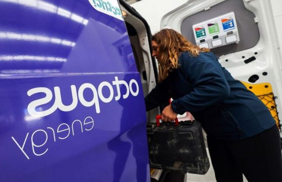 Octopus Energy says key switch to slash NHS bill by £20bn