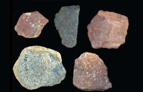 Oldest examples of ‘sophisticated’ stone tools found at site in Kenya