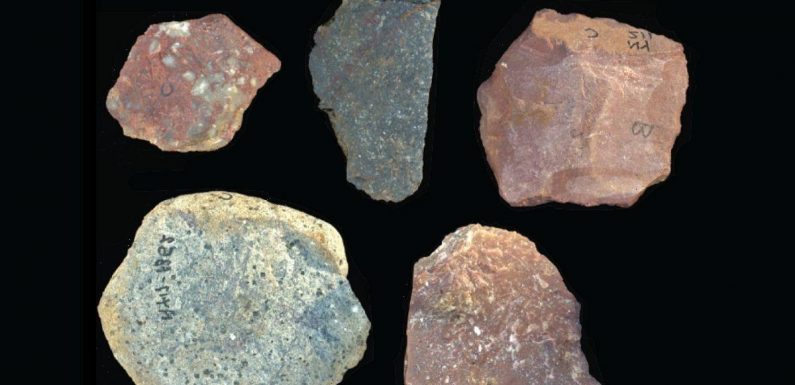 Oldest examples of ‘sophisticated’ stone tools found at site in Kenya