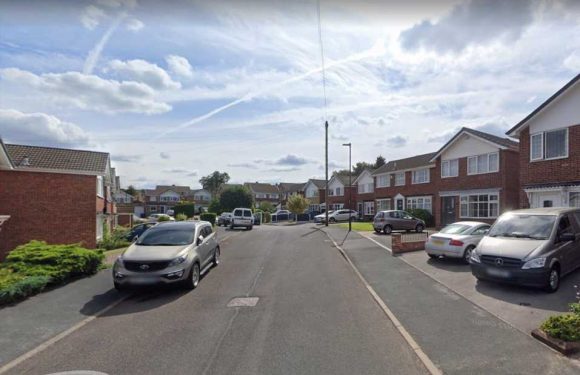 Police hunt sex fiend on the prowl in Sheffield after girl, 13, assaulted while walking in woods near duck pond | The Sun