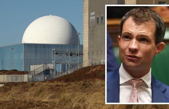 SNP begs Westminster to keep nuclear power out of Scotland