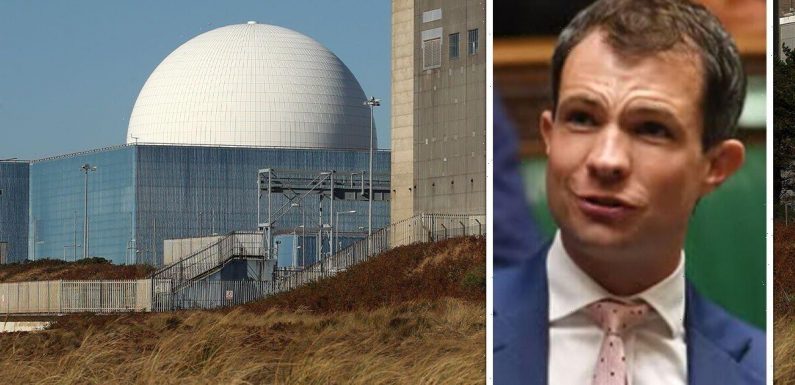 SNP begs Westminster to keep nuclear power out of Scotland