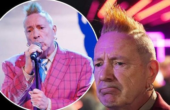 Sex Pistols' John Lydon loses bid representing Ireland in Eurovision