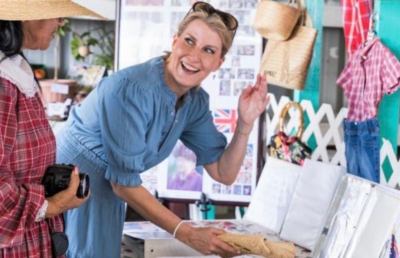 Sophie Wessex dons £175 chambray dress – but fans say it’s ‘too much’