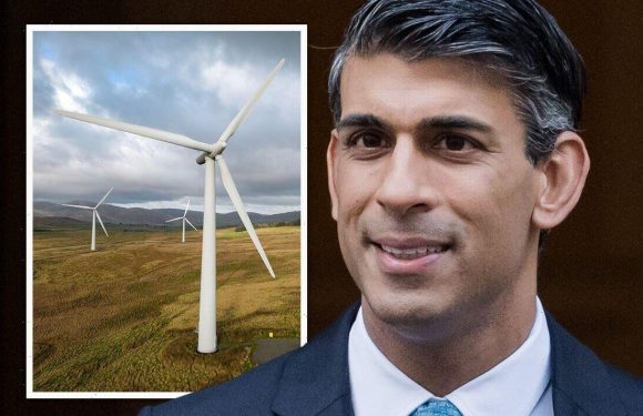 Sunak accused of floundering on pledge to scrap windfarm ban