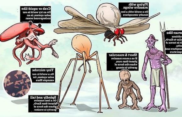 What COULD aliens look like? MailOnline asks experts