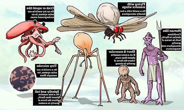 What COULD aliens look like? MailOnline asks experts