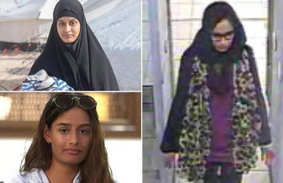What are Shamima Begum's options now after her court loss?