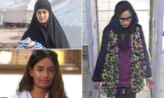 What are Shamima Begum's options now after her court loss?