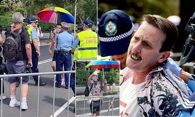 Wild moment protester is dragged away from  George Pell's funeral