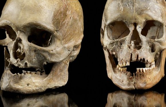 Ancient DNA Reveals History of Hunter-Gatherers in Europe