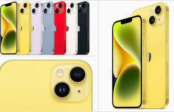 And it was all YELLOW: Apple announces new color for iPhone 14 lineup