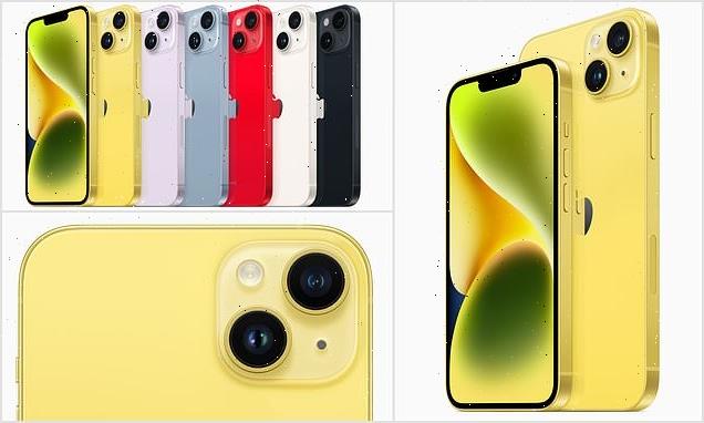 And it was all YELLOW: Apple announces new color for iPhone 14 lineup