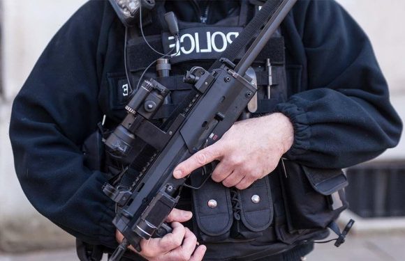 Armed police storm home as man scratched by cat through letterbox