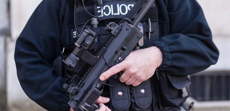 Armed police storm home as man scratched by cat through letterbox