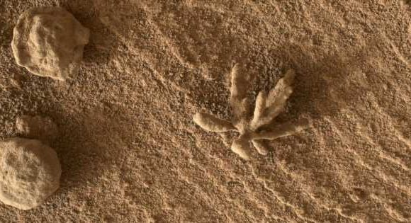 Boffins convinced new Mars photos prove life once existed on planet