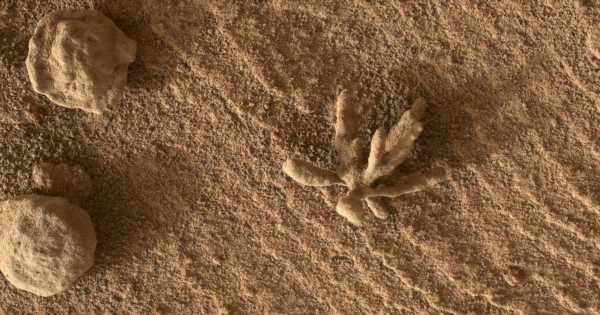 Boffins convinced new Mars photos prove life once existed on planet