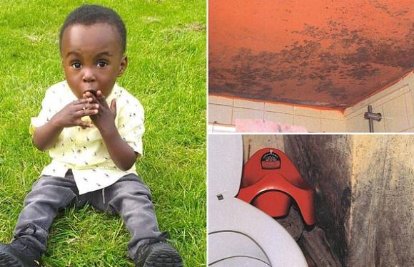 Boss of mouldy flat where Awaab Ishak, 2, lived said 'mould was ok'