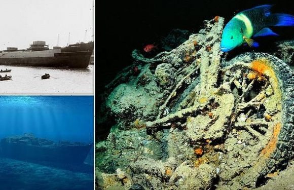 British WWII munitions ship has formed an artificial coral reef