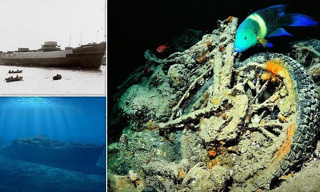 British WWII munitions ship has formed an artificial coral reef