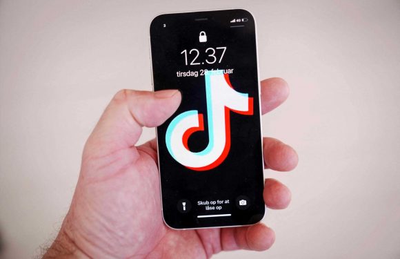 Brits don't need to delete TikTok accounts but should be wary of Chinese data harvesting | The Sun