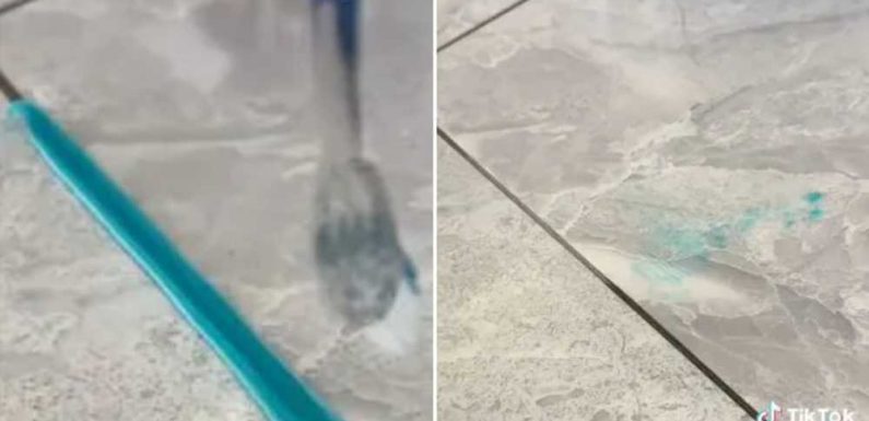 Cleaning fan shares easy hack to get grim grout sparkling… but his method bitterly divides opinion | The Sun